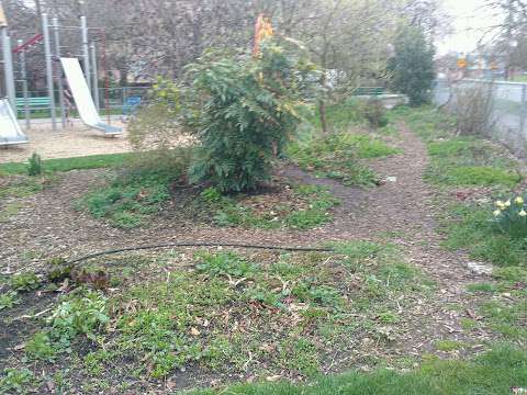 Wark Street Commons Community Garden